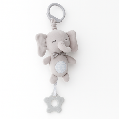Teething Charm